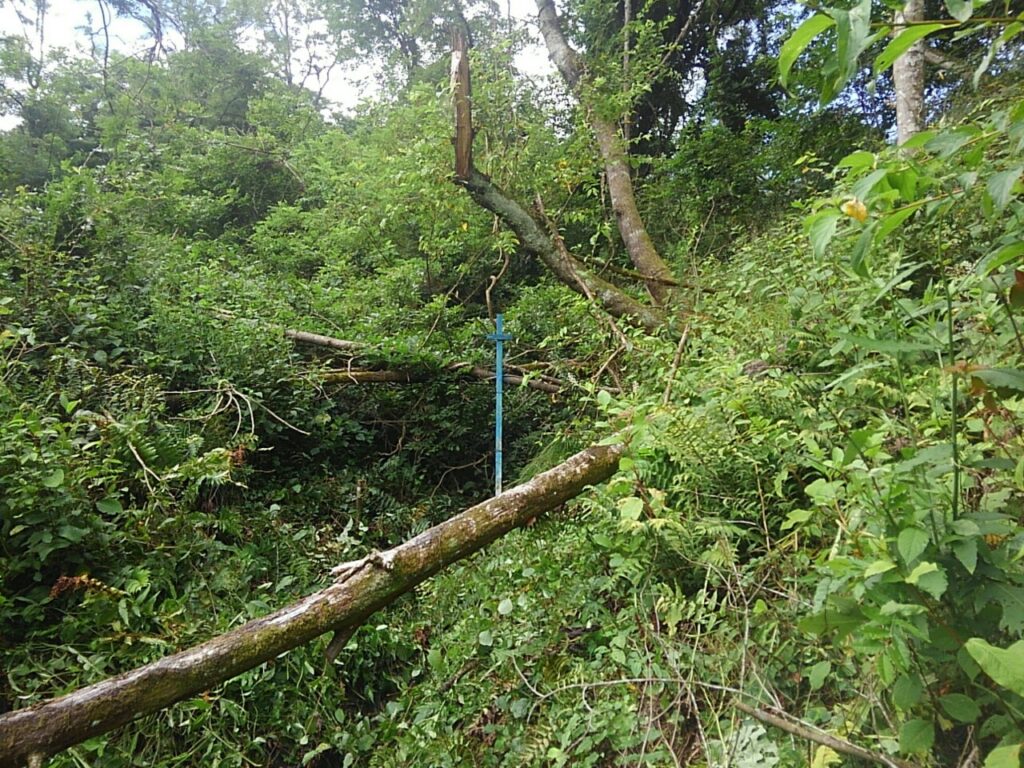 施工前の地すべり対策工事